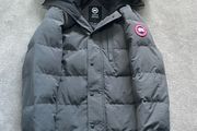 canada goose