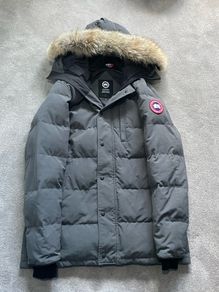 canada goose