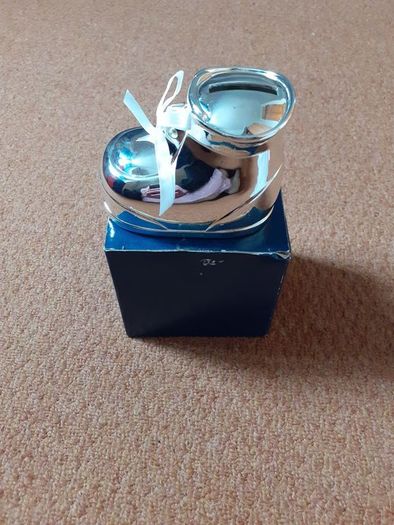 Silver Plated Money Box Unisex