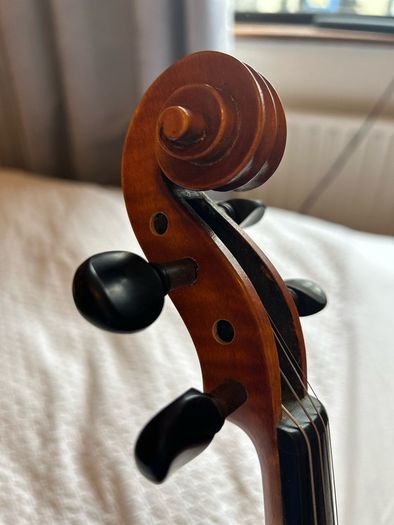 Violin