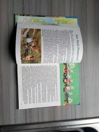Original Sylvanian Families Annual 1998