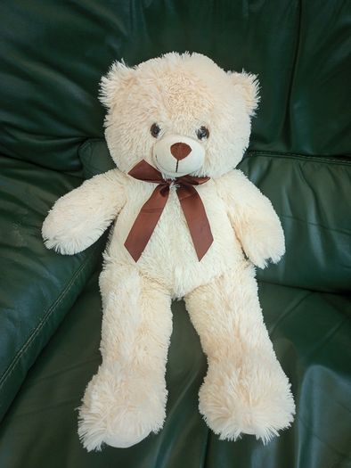 Teddy Bear