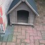Dog cage Image 2