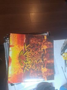 Vinyl.bonegnawers.