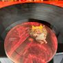 Forget Me Nots Hullabaloo Vinyl LP Record 4719221 Mint Condition Image 9