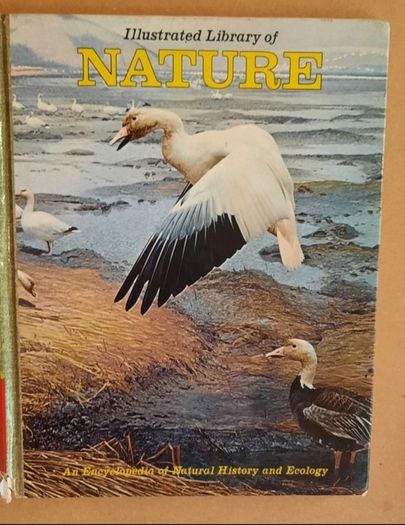 Vintage 'Illustrated Library of Nature' Volume 1, 2 & 3