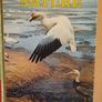 Vintage 'Illustrated Library of Nature' Volume 1, 2 & 3 Image 2