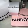 Pandora Bracelet Image 4