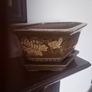 bonsai planter Image 2