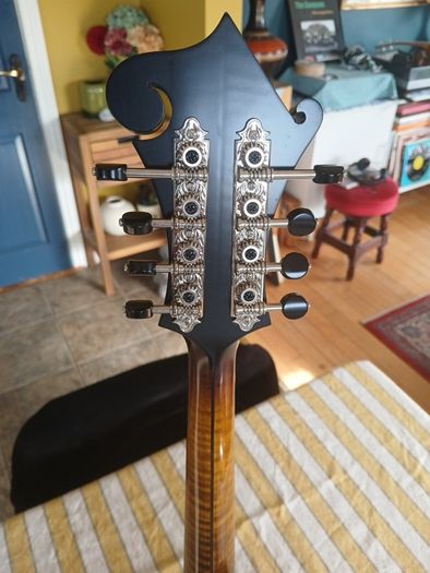 Coostar F5 Mandolin