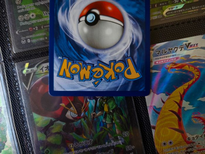 MCamerupt EX ! XY Era Promo ! 2017 ! Pokemon Card !