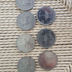 Coins Punt