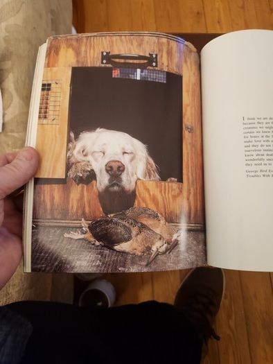 Just Dogs. A Literary & Photographic Tribute To The Great Hunting Breeds. First Edition Large Volume Hardback With Dustjacket In Very Good Condition. 36.