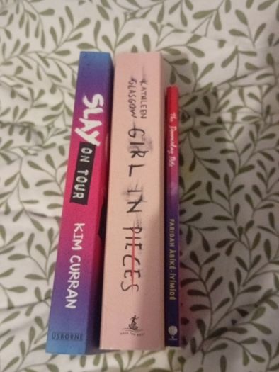 Young Adult Book Bundle