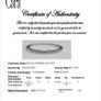 Ring Image 4