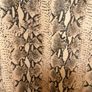 Women's Faux Suede Snake Print Coat Size M Image 3