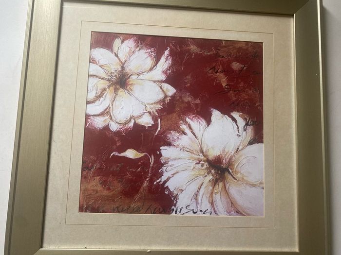 pictutre framed and glazed print botanical
