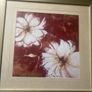 pictutre framed and glazed print botanical Image 6