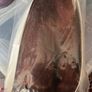 Brand new full head wig - auburn/chestnut long Image 2
