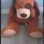 Floppy dog soft toy Image 2