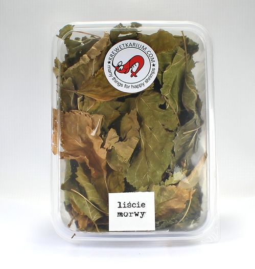 Mulberry leaves for shrimps