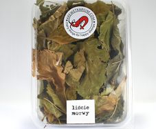 Mulberry leaves for shrimps