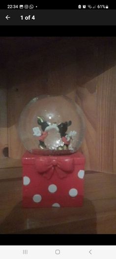 disney mickey and minnie snowglobe