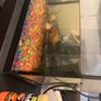 fish tank Image 7