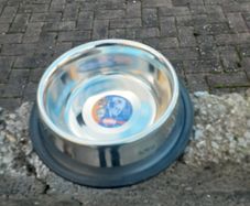 Dogs bowl stainless. 2 of.