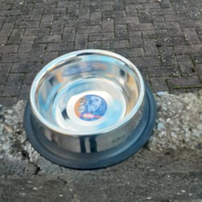 Dogs bowl stainless. 2 of.