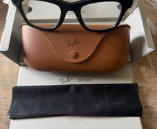 Ray-Ban Meta Wayfarer Sunglasses