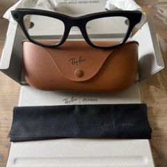 Ray-Ban Meta Wayfarer Sunglasses