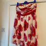 Coast Dress Image 3
