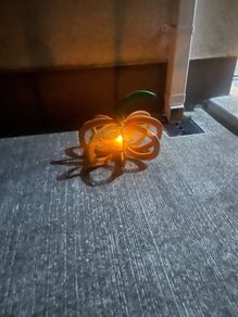 Horseshoe pumpkin s