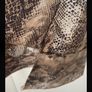 tunic top savida animal print tunic top size 12 Image 8