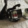 Sanger Reels Image 4