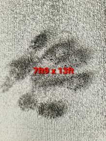 carpet 7ft9 x 13ft