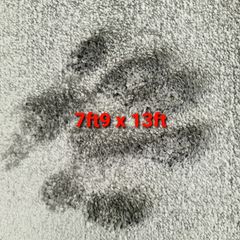carpet 7ft9 x 13ft
