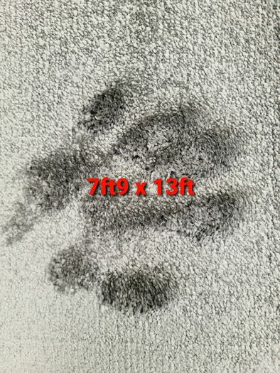 carpet 7ft9 x 13ft