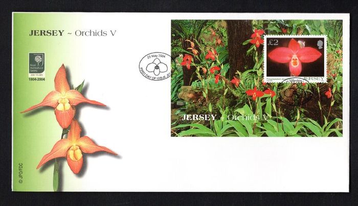 2004 Jersey Orchids Phragmipedium "Jason Fisher" Commemorative Stamp Miniature Sheet First Day Cover (FDC)