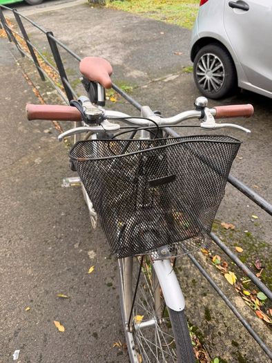 Ladies Bike (L)