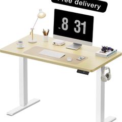 100 x 60 cm Standing Desk, Electric Height Adjustable Desk