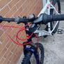 adults bike Image 3