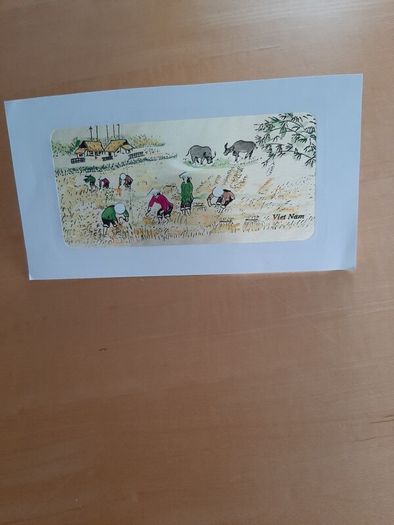 Rural Vietnamese scene