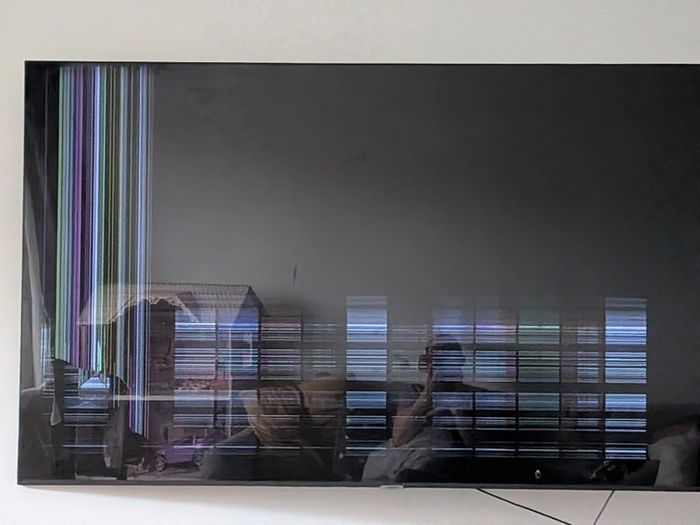 Samsung 65" tv parts only