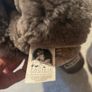 UGG Boots Image 4