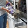 45Wh 2in1 Cordless MULTIPOWER Pet Vacuum Cleaner Image 5