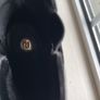 River Island Black Ankle Boots Image 3