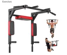 Wall mounted Pull Up and Dip Bar