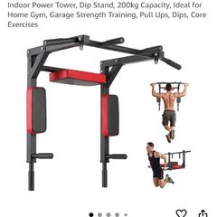 Wall mounted Pull Up and Dip Bar